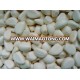 2017 reliable price frozen crushed garlic