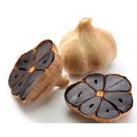 Vietnam Wholesalers of High Quality Black garlic with magical benefits