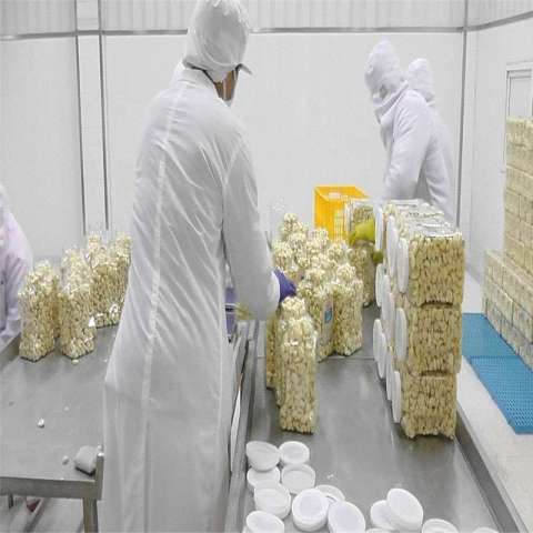 Factory wholesale Hith quality Packing in jar Peeled Garlic with best price