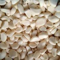 IQF China exporters garlic with reasonable price